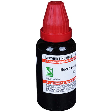 Dr. Willmar Schwabe India Boerhaavia Diffusa Mother Tincture Q 30 Ml