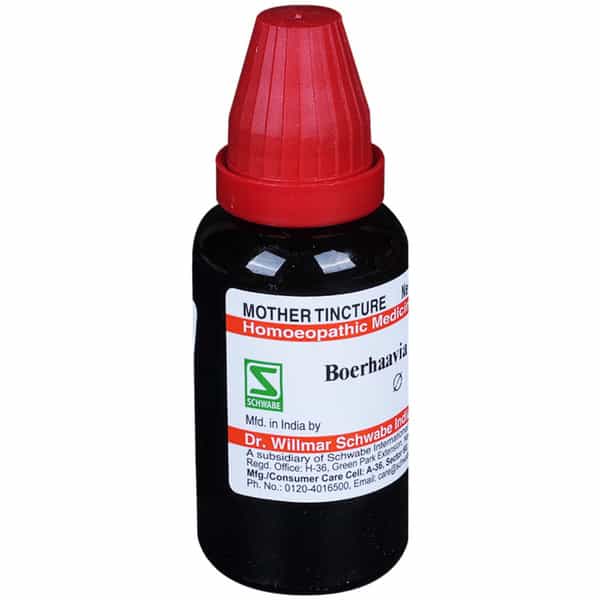 Dr. Willmar Schwabe India Boerhaavia Diffusa Mother Tincture Q 30 Ml