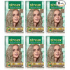 Streax Cream Hair Color For Unisex 120Ml - 9.1 Rich Platinum (Pack Of 6) Rich Platinum