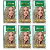 Streax Cream Hair Color For Unisex 120Ml - 9.1 Rich Platinum (Pack Of 6) Rich Platinum