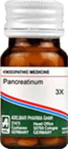 Adel Pancreatinum Trituration Tablet Pack Of 2 | 20ml Each