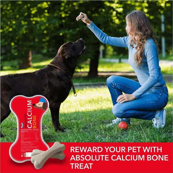 Drools Absolute Calcium Bone Jar Dog Supplement - 40 Pieces(600G)