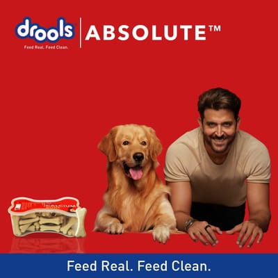 View product image 4