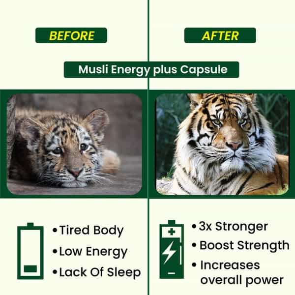 Hashmi Musli Energy Plus Capsule 20