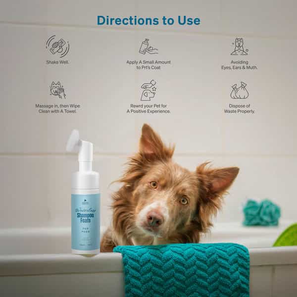 Aroma Groom Foaming Waterless Pet Shampoo - Paws 150 Ml