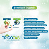 Trigotab Fenugreek Seed Extract Powder Tablets Bottle Of 60