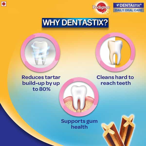 Pedigree Dentastix Moni Large Pp 270G