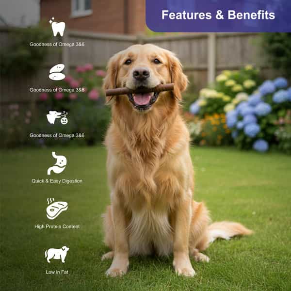 Snackers Non Rawhide Chews Two Tone Wrap Stick Dog Treats | 225 G
