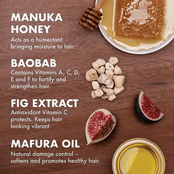 Shea Moisture Intensive Hydration Honey & Mafura Oil Masque For Dry Hair | 354Ml