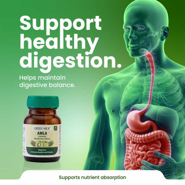 Green Milk Concepts Green Milk Amla | Supports Immunity | Digestion & Vitality | 30 Capsules