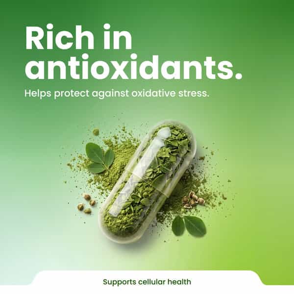 Green Milk Concepts Green Milk Amla | Supports Immunity | Digestion & Vitality | 30 Capsules