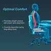 Tynor Ortho Cushion Seat Grey Universal Size 1 Unit