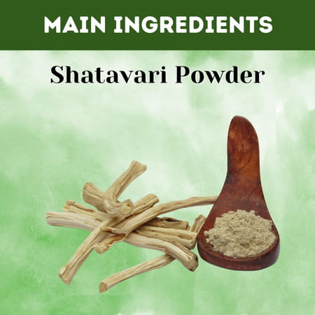 Ved Tattva Shatavari Powder - 1 Kg (Pack Of 2)