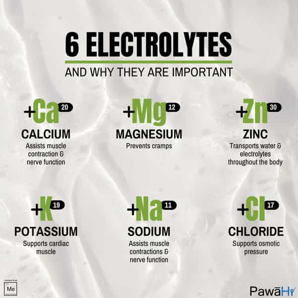 Pawahy Isotonic Energy Drink Endurance Workout Electrolyte Drink With 2:1:1 Bcaa- 1Kg (Green Apple)