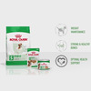Royal Canin Mini Adult Dog Food | 85 Grams | Pack Of 12 Sachet | Supports Weight Management