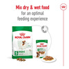 Royal Canin Mini Adult Dog Food | 85 Grams | Pack Of 12 Sachet | Supports Weight Management