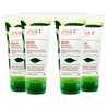 Jiva Neem Face Wash|Deep Cleanses | Controls Acne And Breakouts|All Skin Types -100G (Pack Of 4)