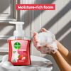 Dettol Foaming Handwash | Strawberry | 250 Ml