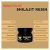 Fij Ayurveda Pure Ayurvedic Shilajit/Shilajit Resin (Semi Liquid) - 40gm (Pack Of 2)