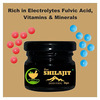 Fij Ayurveda Pure Ayurvedic Shilajit/Shilajit Resin (Semi Liquid) - 40gm (Pack Of 2)