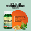 Morpheme Remedies Boswellia Shallaki 500 Mg - 60 Veg Capsules