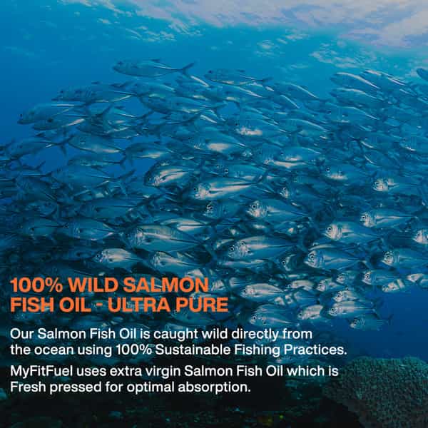 Myfitfuel Salmon Fish Oil | 1000Mg (180 Epa 120 Dha) | 100 Softgels