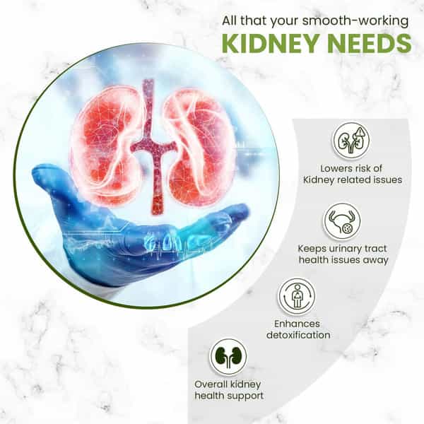 Himalayan Organics Plant Based Kidney Detox | Bottle | 60 Veg Tablets