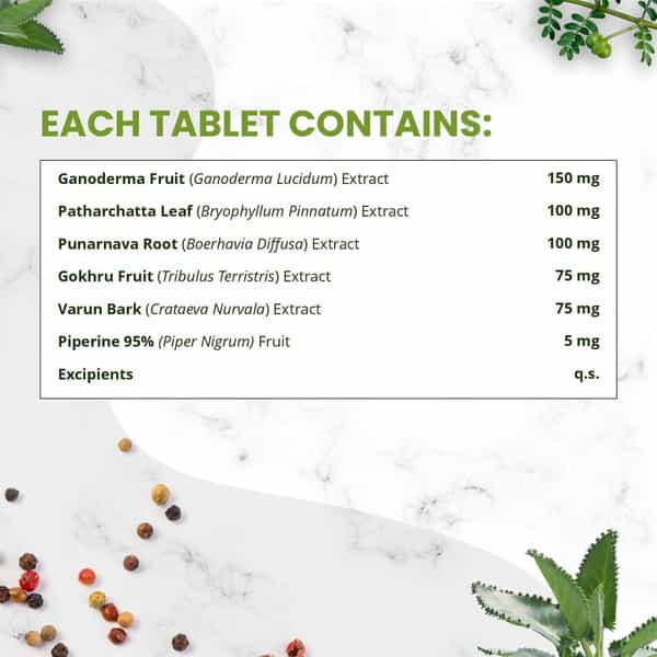 Himalayan Organics Plant Based Kidney Detox | Bottle | 60 Veg Tablets