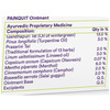 Siddhayu (By Baidyanath) Painquit Ointment - 30 Gm (Pack Of 2)