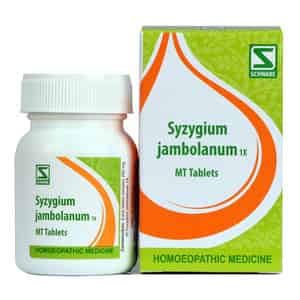 Dr. Willmar Schwabe India Syzygium Jambolanum 1x 20gm
