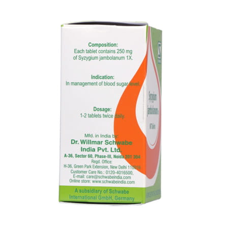 Dr. Willmar Schwabe India Syzygium Jambolanum 1x 20gm