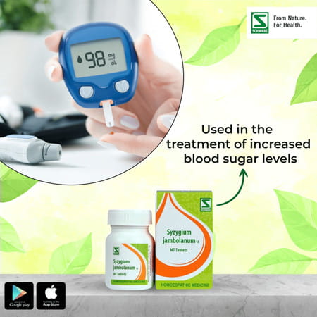 Dr. Willmar Schwabe India Syzygium Jambolanum 1x 20gm
