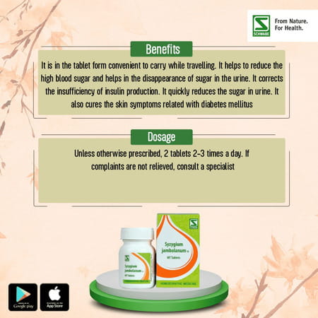 Dr. Willmar Schwabe India Syzygium Jambolanum 1x 20gm