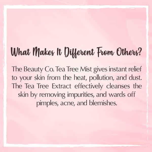 The Beauty Co. Tea Tree Mist For Pure Skin 100 Ml