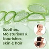 Boroplus Aloe Gel Moisturizer Tube Of 150 Ml