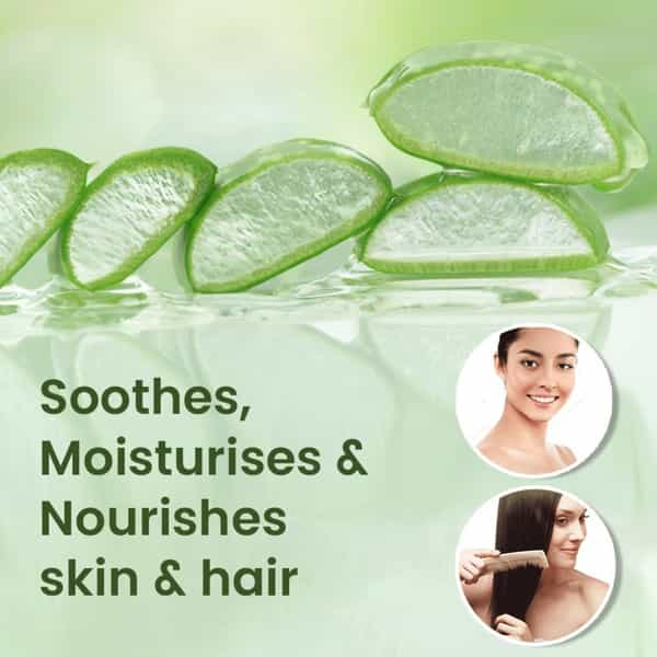 Boroplus Aloe Gel Moisturizer Tube Of 150 Ml