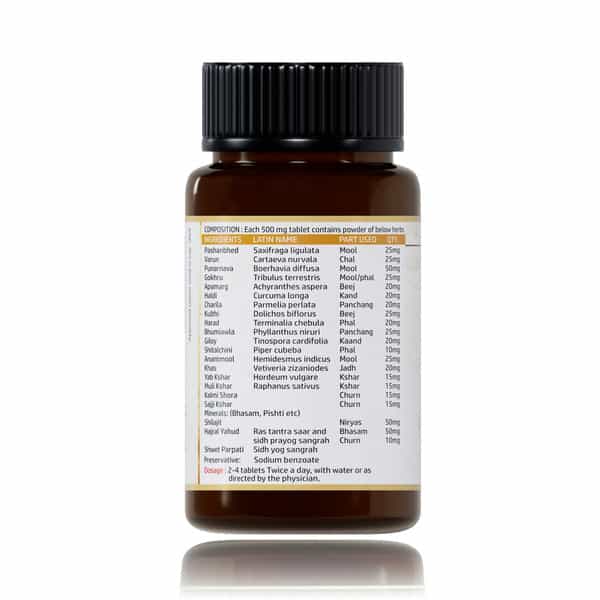 Jeena Sikho Ckd/Kidney Tablets | Ayurvedic Kidney Detox Supplemen | 60 Tablets