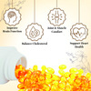 Four Seasons Flax Seed Oil Softgel Capsule - 60 | Omega 369 | Helps Skin | Heart & Brain Health