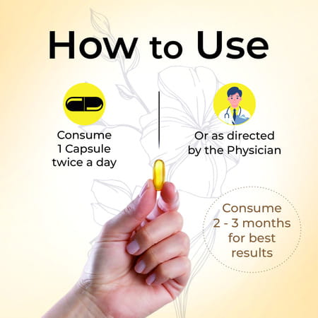 Four Seasons Flax Seed Oil Softgel Capsule - 60 | Omega 369 | Helps Skin | Heart & Brain Health