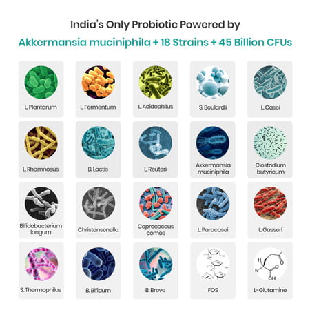 Nutrazen Nutrazen Forever Gut Probiotic For Digestive Health 30 Capsules For Adults - 30n