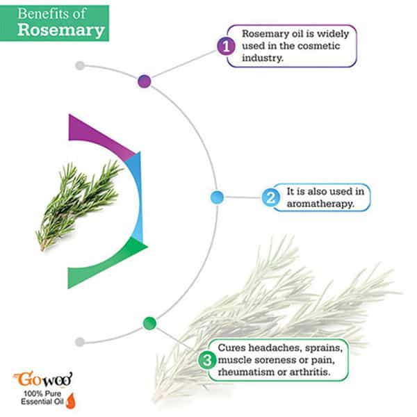 Pack Of 2 Rosemary Essential Oil & Almond Carrier Oil - 100% Pure & Natural Oil