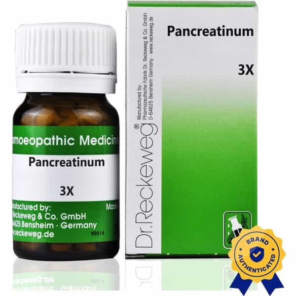 Dr. Reckeweg Pancreatinum 3X Tablets (20 G) Pack Of 2