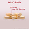 Jarrow Formulas Acetyl L-Carnitine | 60 Capsules