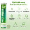 Zingavita Multigreens Wholefood Supplement For Immunity & Detox 20 Fizzy Tablet