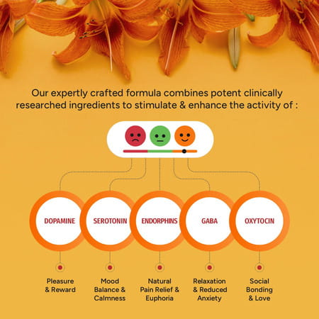 Bliss Welness Happy Bliss Happiness Anxiety & Stress Relief Supplement 30 Servings 90 Gm