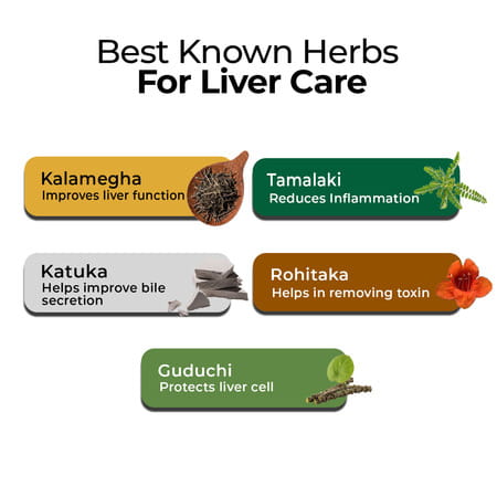 Zandu Livital | For Liver Detox & Health Support In 2 Months | 90 Tablets