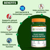 Pure Nutrition Plant-Based Blood Detox 800mg - 60 Veg Capsules