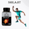 Earth King Shilajit/Shilajeet Capsule Supports Energy & Energy - 500mg 60 Capsules (Pack Of 1)