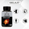 Earth King Shilajit/Shilajeet Capsule Supports Energy & Energy - 500mg 60 Capsules (Pack Of 1)