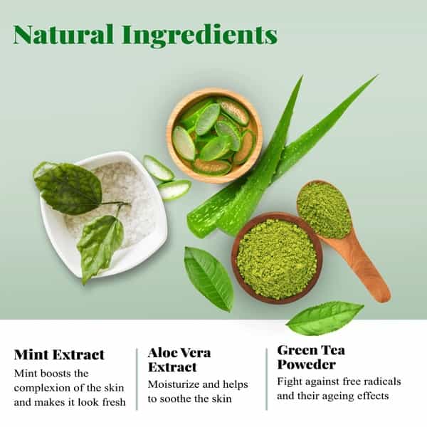 Shizen Bio-Cosmetics By Nature Fuji Matcha Green Tea Face Mask Cream For Oily Skin(100Gm)